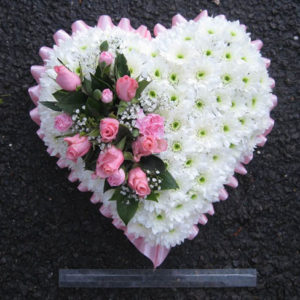 Solid Heart